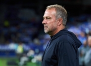 海星TV-关于莱万多夫斯基遭遇十五连败，曼联教练面临压力！的信息