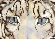 海星直播-江南暴熊队对阵渝州雪豹队，赛艇锦标赛读秒绝平，门将神扑救主——逆风翻盘的范本的简单介绍